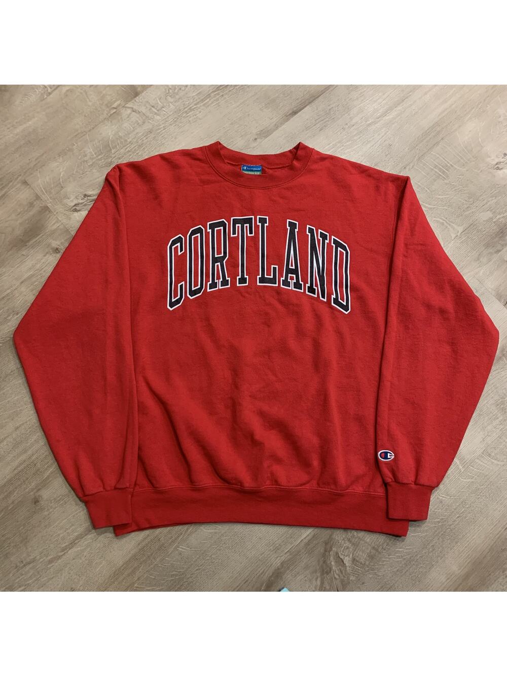 Champion SUNY Cortland Red Dragons Sweatshirt Men's Large Pullover Crewneck NCAA